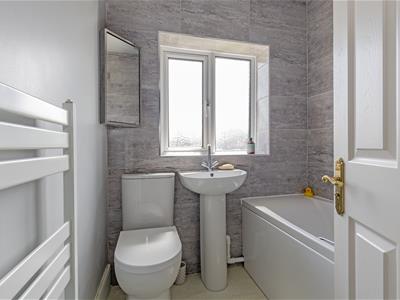 Picture 11
